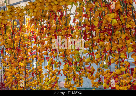 Fruits ou mamelon Titti Fruits, pour le Nouvel An chinois Banque D'Images