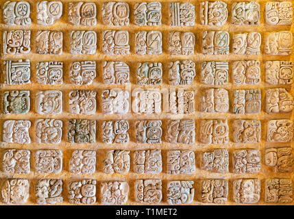 Hiéroglyphe symboles de l'Alphabet maya. Le système d'écriture est vu dans Copan (Honduras), Tikal (Guatemala), Chichen Itza, Palenque, Uxmal (Mexique). Banque D'Images