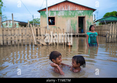 2015 Inondations en Amazonie brésilienne - les enfants jouent dans les eaux de la rivière acre de terre à Taquari, district de la ville de Rio Branco, l'état d'Acre. Les inondations ont touché des milliers de personnes dans l'Etat d'Acre, dans le nord du Brésil, depuis le 23 février 2015, lorsque certaines des rivières de l'état, en particulier l'Acre, la rivière a débordé. De plus fortes précipitations a forcé les niveaux de la rivière plus haut encore, et le 03 mars 2015, le gouvernement fédéral du Brésil a déclaré l'état d'urgence dans l'état d'Acre, où les conditions d'inondations situation a été décrite comme la pire en 132 ans. Banque D'Images