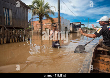 2015 Inondations en Amazonie brésilienne, Taquari, district de la ville de Rio Branco, l'état d'Acre. Les inondations ont touché des milliers de personnes dans l'Etat d'Acre, dans le nord du Brésil, depuis le 23 février 2015, lorsque certaines des rivières de l'état, en particulier l'Acre, la rivière a débordé. De plus fortes précipitations a forcé les niveaux de la rivière plus haut encore, et le 03 mars 2015, le gouvernement fédéral du Brésil a déclaré l'état d'urgence dans l'état d'Acre, où les conditions d'inondations situation a été décrite comme la pire en 132 ans. Banque D'Images