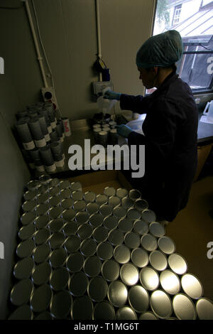 Les membres du personnel engagés dans les différents types d'emballage, aromatisés et fumé Sel de mer pur produit par l''Anglesey Sea Salt Company à leur usine donnant sur le détroit de Menai. C'est dans les eaux de l'Atlantique qui entourent l'île que l''Anglesey Sea Salt Company draine l'eau de mer pour faire son sel de mer bio produits. Banque D'Images