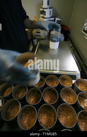 Les membres du personnel engagés dans les différents types d'emballage, aromatisés et fumé Sel de mer pur produit par l''Anglesey Sea Salt Company à leur usine donnant sur le détroit de Menai. C'est dans les eaux de l'Atlantique qui entourent l'île que l''Anglesey Sea Salt Company draine l'eau de mer pour faire son sel de mer bio produits. Banque D'Images