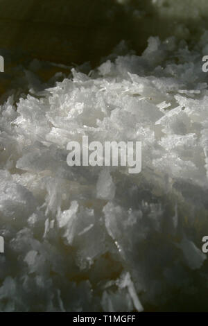 Sel fraîchement récolté à partir de l'un des salines utilisées pour la collecte d'eau de mer à l''Anglesey Sea Salt Company à Brynsiencyn. L'eau qui contient 3  % de sel, mais une fois qu'il est distillé et chauffée ce s'élève à environ 15  %. Les travailleurs de la pelle des gisements de sel dans les bacs avant le lavage et le séchage. C'est dans les eaux de l'Atlantique qui entourent l'île que l''Anglesey Sea Salt Company draine l'eau de mer pour rendre ses produits au sel de mer. Banque D'Images