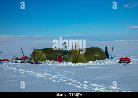 Cross Country Ski de randonnée Camping de groupe sur le plateau de Finnmarksvidda. Le Finnmark, Norvège. Banque D'Images