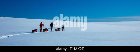 Cross Country Ski de randonnée traversant le Plateau du Finnmarksvidda groupe. Le Finnmark, Norvège. Banque D'Images