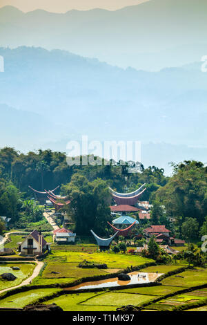 Un highland village Torajan ensemble avec des maisons traditionnelles dans les champs du riz dans le sud de Sulawesi, Indonésie Banque D'Images