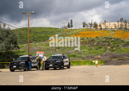 Lake Elsinore, Californie - le 20 mars 2019 : le Comté de Riverside sheriff ministère et le lac Elsinore la patrouille de police en raison des champs de pavot Canyon Walker Banque D'Images