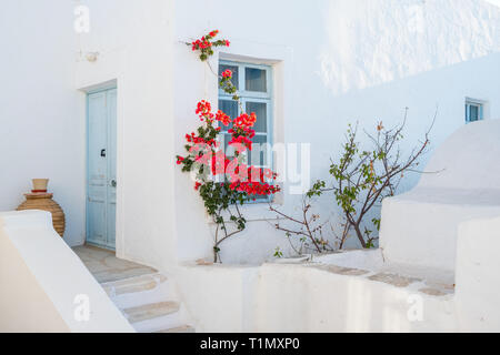 Façade de maison blanc bleu avec porte, fenêtre et de belles fleurs dans la ville de Naoussa, l'île de Paros, Cyclades Banque D'Images