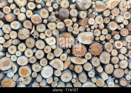 Pile de bois de chauffage Bois de chauffage empilé les troncs, close-up fond de bois Banque D'Images