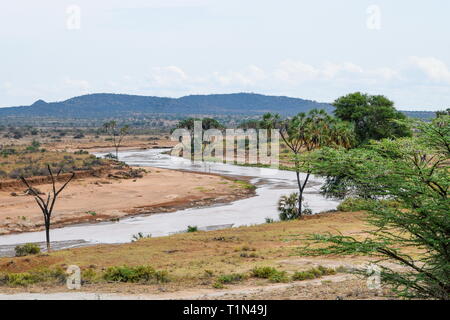 D'Ewaso Nyiro à Samburu National Reserve, Kenya Banque D'Images