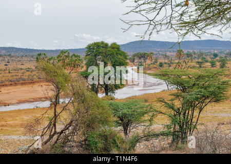 D'Ewaso Nyiro à Samburu National Reserve, Kenya Banque D'Images