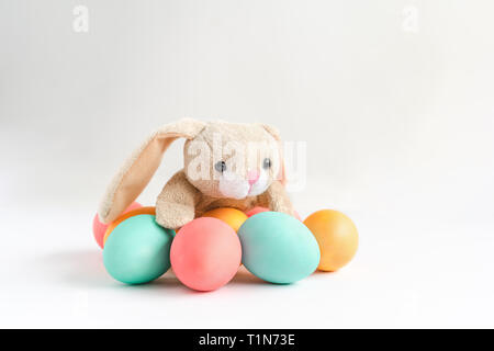 Lapin de Pâques moelleux avec des oeufs colorés sur fond blanc. Copier l'espace. Banque D'Images
