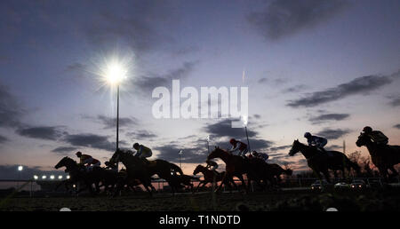 Le domaine se profilent au cours des premières étapes du sage Paris à racingtv.com classées piquets à Kempton Park Racecourse, Esher. Banque D'Images