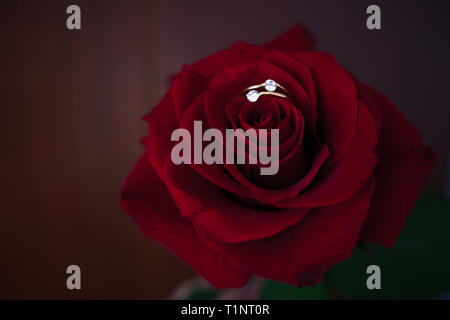 Belles roses rouges sur le glitter. Mariage et engagement dans le concept. Anniversaire, la Saint-Valentin, la Journée internationale de la femme, l'amant présents. Banque D'Images