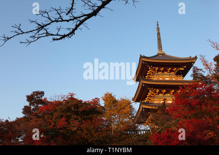 Coucher du soleil d'automne frappe le Pagdoa à trois niveaux, le Kiyomizu-dera, temple bouddhiste, Kyoto. Banque D'Images