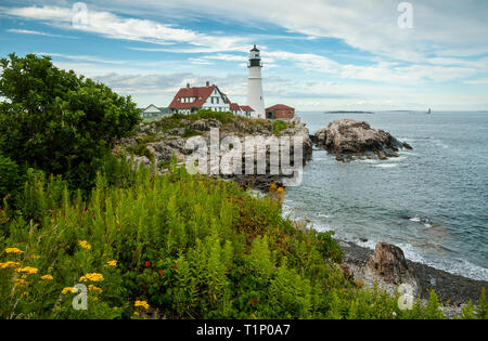 Les fleurs sauvages d'été Portland Head Lighthouse surround, le plus ancien phare dans le Maine. Banque D'Images