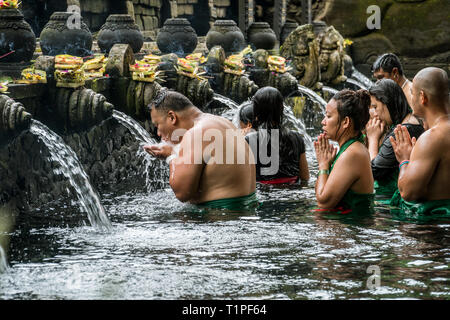 Bali, Indonésie - le 22 janvier 2019 : Les gens priant par le saint de l'eau de source du Pura temple Tirta Empul à Tampa, Bali, Indonésie. Banque D'Images