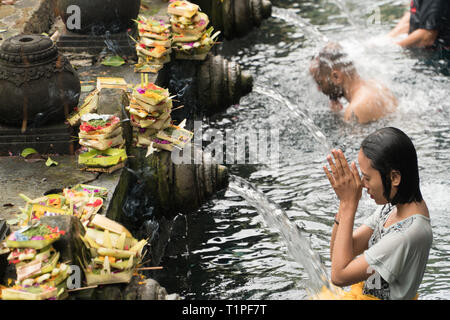 Bali, Indonésie - le 22 janvier 2019 : femme priant au printemps de l'eau sainte Pura temple Tirta Empul à Tampa, Bali, Indonésie. Banque D'Images