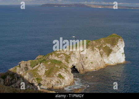 Les ruines de Kinbane Castle sur un promontoire calcaire à Kinbane Head avec l'île de Rathlin dans l'arrière-plan. Banque D'Images