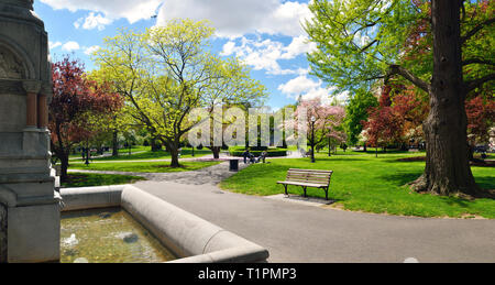 Vue panoramique sur le Jardin Public de Boston au début du printemps Banque D'Images