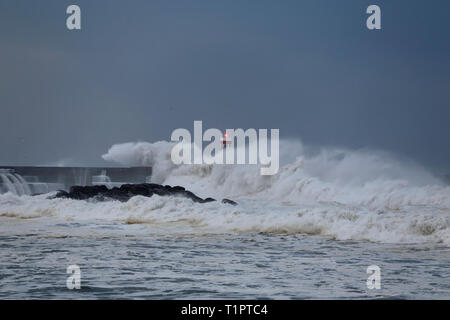 Seascape sombre au crépuscule avant la pluie et grosse tempête Banque D'Images