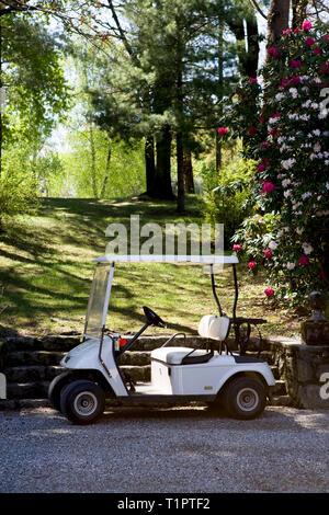 Voiture de golf Banque D'Images