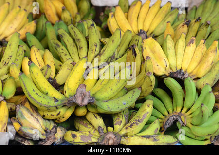 La banane verte et jaune au marché agricole local Banque D'Images