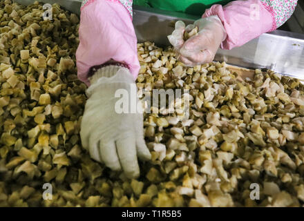 (190328) -- CHONGQING, 28 mars 2019 (Xinhua) -- un processus de travail pickle le long d'une ligne de production à une usine à Fuling District de Chongqing, au sud-ouest de la Chine, 22 février, 2019. L'échelle de l'industrie de la Chine a dépassé 4,97 milliards de pickle yuan (environ 740 millions de dollars américains) en 2017, avec un taux de croissance composé de 7,3 pour cent au cours des cinq dernières années. Selon le gouvernement du district de Fuling à Chongqing, plus de 600 000 agriculteurs locaux sont impliqués dans la plantation de moutarde souches -- la matière première pour la saumure. En 2017, 1,6 millions de tonnes de moutarde de souches ont été produits, qui ont été faites Banque D'Images