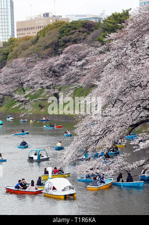 Tokyo, Japon. 28 mars 2019. Les habitants et les touristes profiter des cerisiers connu sous le nom de Sakura dans des bateaux à Chidorigafuchi parc sur les douves du Palais Impérial à Tokyo, Japon. Affichage de la fleur de cerisier, Sakura, ou est devenu quelque chose d'un passe-temps national pour les Japonais, et est un atout considérable pour les touristes. Durant que d'environ deux semaines, il s'assure que les zones les plus populaires sont toujours bondés et en prenant un tour en bateau sur la douve du château est l'un des moyens les plus populaires de voir les fleurs. Crédit : Paul Brown/Alamy Live News Banque D'Images