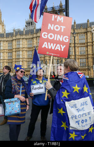 Westminster, London, UK. Mar 28, 2019. Anti-Brexit manifestants protester devant les Chambres du Parlement. Le Premier ministre britannique Theresa peut va chercher un troisième vote sur son Brexit traiter le vendredi 29 mars 2019. Credit : Dinendra Haria/Alamy Live News Banque D'Images