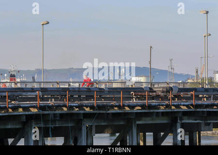 Victoria Park, Belfast, Irlande du Nord. 28 mars 2019. Un jour de printemps ensoleillé chaud avec ciel bleu, soleil et températures dans les bas de l'adolescence. Coureur au port de Belfast adjacent Estate. Crédit : David Hunter/Alamy Live News. Banque D'Images