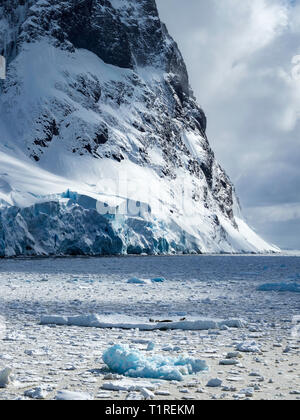 Canal Lemaire, les phoques crabiers (Lobodon carcinophaga) de la glace de mer dans la distance, l'Antarctique Banque D'Images