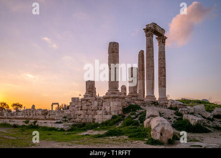 Temple de Hercule sur la citadelle d'Amman en Jordanie Banque D'Images