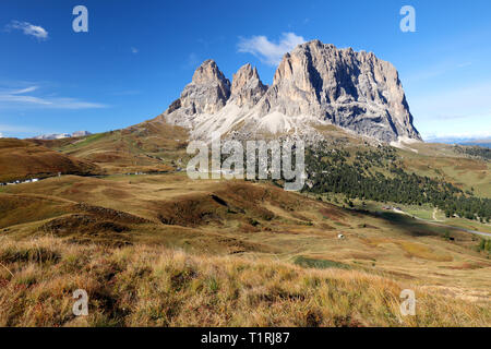 Sassolungo, Val Gardena, Dolomites, Italie. La Sassolungo alp debout au-dessus de champs colorés au cours de la saison estivale à Val Gardena, Trentin-Haut-Dja Banque D'Images