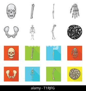 Crâne,fémur genou,poignet,,hip,appareil locomoteur Fracture,ostéoporose,mort,,joints,douleur,scientifique,cell,monster,,jambe,ménisque,calcium squelettique,bassin,tissu,préjugés,le mal,body,chirurgie,structure,system,dommage,horreur,conjonctif,tibia,médecine, biologie médicale,clinique,os,squelette,anatomie,des,organes,,set,icône,,illustration,collection,isolé,design,graphisme,élément vecteur vecteurs,signer , Illustration de Vecteur