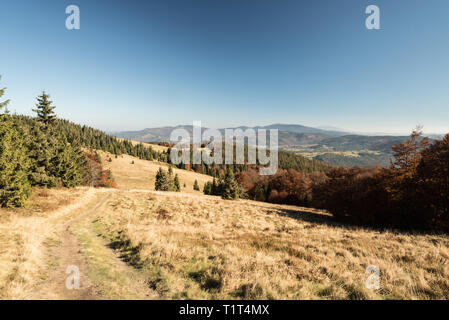 Hala Rycerzowa mountain meadow avec sentier de randonnée, arbres et collines colorées sur l'arrière-plan dans les montagnes Beskid Zywiecki en Pologne au cours de l'automne Banque D'Images