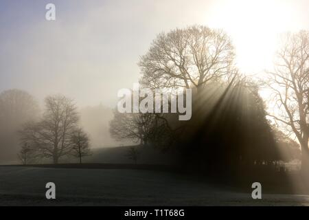 Un matin brumeux. Glebe park,Bowness on Windermere Lake District,,Cumbria, Angleterre, Royaume-Uni Banque D'Images