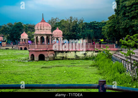 Fleurs et verdure Palmier Dans Lucknow Banque D'Images