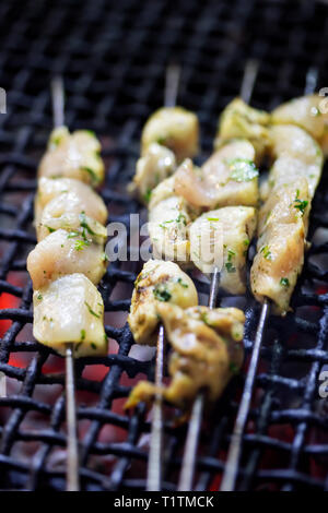 Brochettes kebab poulet cru Banque D'Images