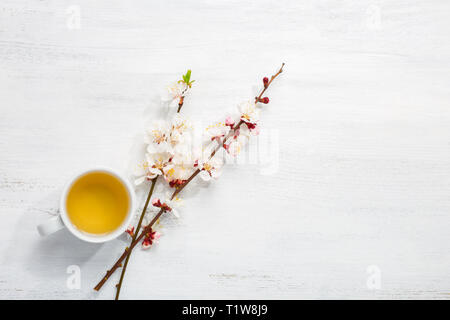 Tasse de thé et deux branches de l'abricotier en fleur sur table ancienne en bois défraîchi. Banque D'Images