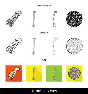 Fracture du fémur,pieds,de,l'ostéoporose,cheville,la douleur,cell,osseux sain,jambe,biais,tissu,,la podologie,dommage,Genou,avant-pied,conjonctif,tibia,DE,panneaux,cartilage péroné,structure,l'appareil locomoteur, les pieds plats,linstallation,mouvement,fibre optique,joints,système,scientifique,médecine,musculaire,biologie,clinique,medical,,os,squelette humain,anatomie organes,,set,icône,,illustration,collection,isolé,design,graphisme,élément vecteur vecteurs,signer , Illustration de Vecteur