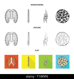 Nervure, colonne vertébrale,fémur,,fibre,cage,chiropratique,osseuses,sain,rx,base,jambe,scientifique,le corps,la colonne vertébrale,Genou,musculaires ostéoporose,tibia,,épithélium sternum,posture,péroné,épiderme,sternum,joints,tendon,mouvement,calcium cellule,chirurgie,dommage,la médecine,clinique,biologie,médical,os,,squelette anatomie,des,organes,,set,icône,,illustration,collection,isolé,design,graphisme,élément vecteur vecteurs,signer , Illustration de Vecteur