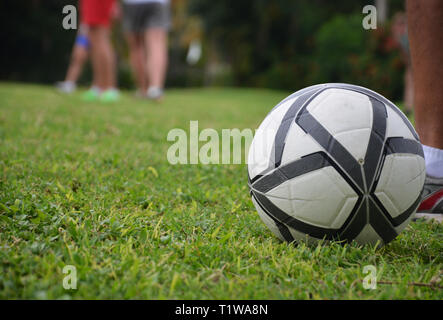 Terrain de football, ballon sur l'herbe, les pieds des hommes. Arrière-plan flou. Banque D'Images