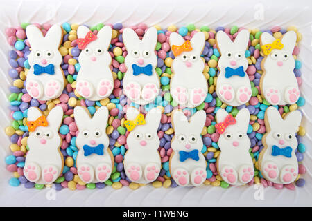 Lapin de Pâques les cookies, les garçons et les filles en alternant portant sur les bonbons chocolats enrobés sur une plaque rectangulaire blanche. Les couleurs du printemps. Original fait maison des Banque D'Images