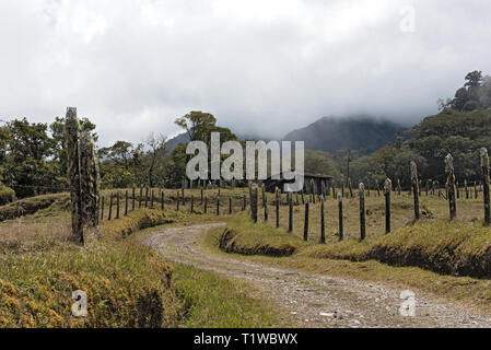La pluie ou la forêt de nuages dans le Parc National Volcan Baru Panama Banque D'Images