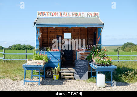 Hall Wiveton Fruit Farm route ferme stand vente de fraises, asperges et artichauts situé entre Blakeney et Claj North Norfolk en Angleterre, Banque D'Images