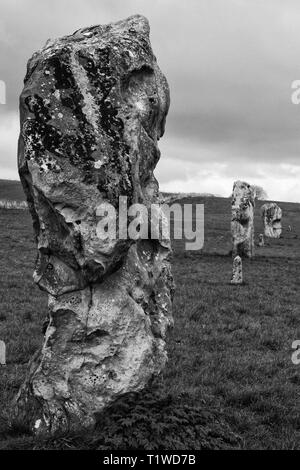 Cercles de pierres d'Avebury et de l'Avenue des menhirs Banque D'Images