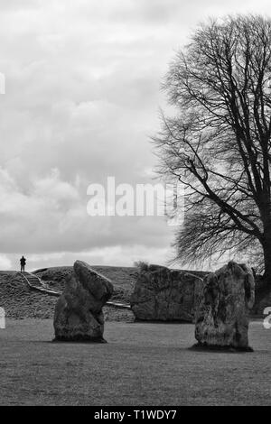 Cercles de pierres d'Avebury et de l'Avenue des menhirs Banque D'Images