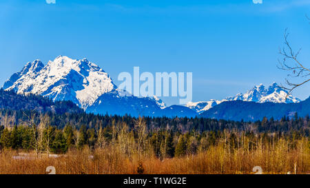 1699 Mount Reid sur la gauche et montez sur la droite juge Howay, vu de chemin Sylvester sur les bleuetières près de Missionin B.C., Canada Banque D'Images