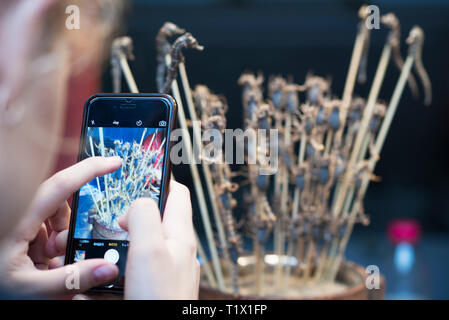 Un touriste de prendre une photo de scorpions frits et les hippocampes sur des bâtons dans la rue Wangfujing Street avec un smartphone, une rue commerçante de Beijing, Chine Banque D'Images